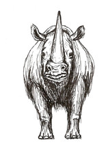 nosorožec srstnatý
