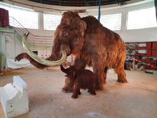 mamut s mládětem
