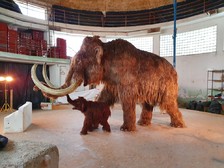 mamut s mládětem